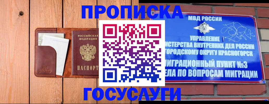регистрация в Мурманской области